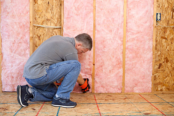 Best Types of Insulation in St Francis, MN