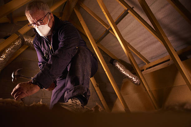 Best Insulation for Specific Applications in St Francis, MN